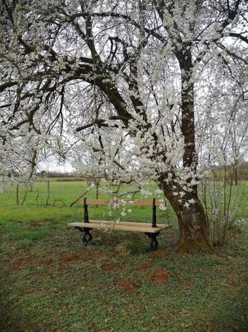 Champagnat Domaine Moulin De Quincenatアパートメント エクステリア 写真